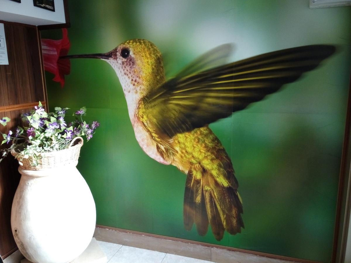 Residence Colibri Family & Bike โลอาโน ภายนอก รูปภาพ